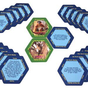 PRIMATES Hex Card Deck - 48 flashcards about primates